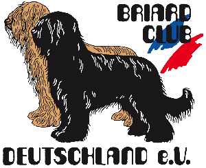 Logo BCD