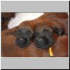 Babies_Dilemma_05.jpg