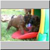 Babies_Dilemma_15.jpg