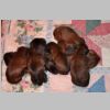 Babies_03.jpg