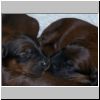 Babies_Faience_01.jpg