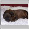 Baby_Faience_01.jpg
