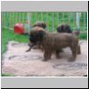 Baby_Faience_02.jpg