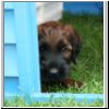 Baby_Faience2_03.jpg