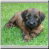 Baby_Faience2_04.jpg