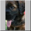 Baby_Faience2_07.jpg