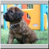 Baby_Faience2_08.jpg