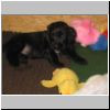 Baby_G'Sina_04.jpg