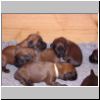 Babies_Galina_01.jpg