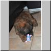 Jethro_01.jpg