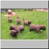Babies_Huguette_02.jpg