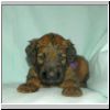 Babies_Huguette_07.jpg