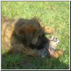 Babies_Soli_02.jpg