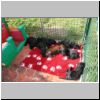 Babies_Storia_05.JPG