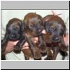 Babies_Vickey_01.JPG