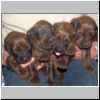 Babies_Vickey_02.JPG