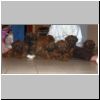 Babies_Vickey_03.jpg