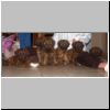 Babies_Vickey_04.jpg
