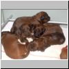Babies_Vickey_05.JPG