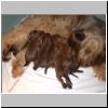 Babies_Vickey_06.JPG