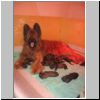 Babies_Zeline_01.jpg