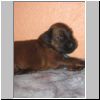 Babies_Zeline_02.jpg