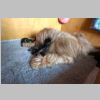 Susi08092014 295.JPG